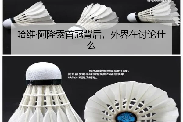 ha-wei-a-long-suo-shou-guan-bei-hou-wai-jie-zai-tao-lun-shen-me-2-505.jpg